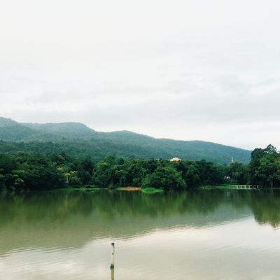 View of a calm natural landscape like a forest or a lake.